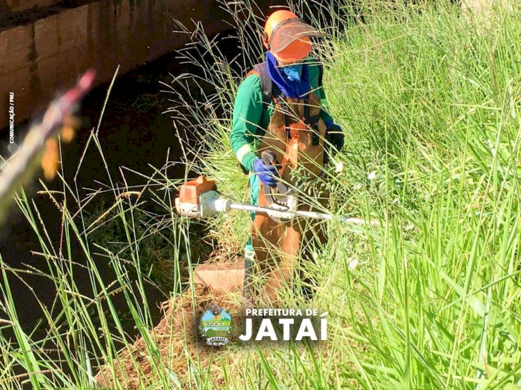 Prefeitura de Jataí realiza mutirão de poda e limpeza no córrego Jataí