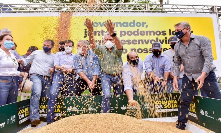 Goiás abre colheita da soja com previsão de safra recorde