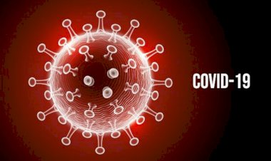 Covid-19: Câmara realiza Dia D de conscientização sobre a pandemia