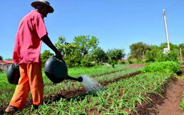 Incra: Compra e venda irregulares de lotes da reforma agrária podem ser crime