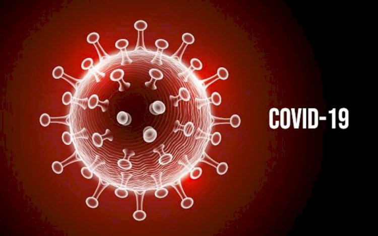 Covid-19: Câmara realiza Dia D de conscientização sobre a pandemia