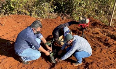 Parque Ecológico das Brisas recebe novas espécies de árvores nativas do Cerrado