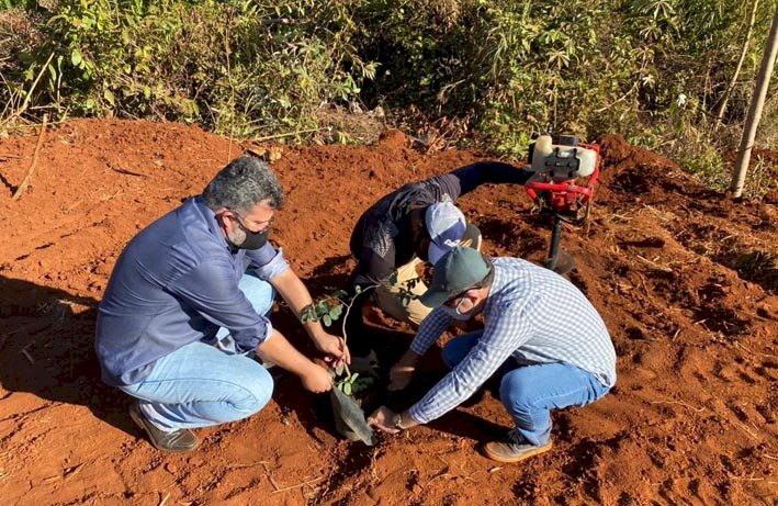 Parque Ecológico das Brisas recebe novas espécies de árvores nativas do Cerrado