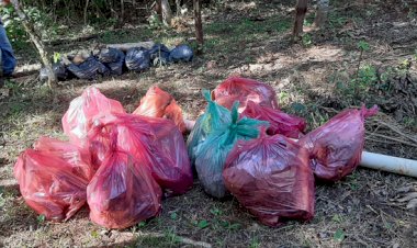 Mata do Açude recebe atenção especial no Dia Mundial do Meio Ambiente