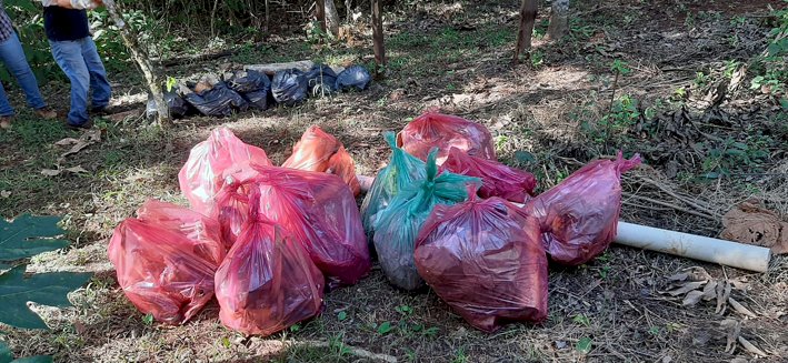 Mata do Açude recebe atenção especial no Dia Mundial do Meio Ambiente