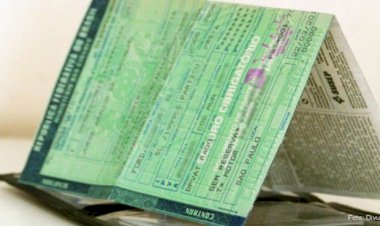 IPVA: Parcelamento em até 12 vezes é aprovado em primeira votação na Alego