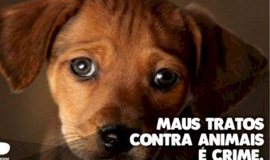 Câmara realiza I Semana de Combate ao Crime de Maus Tratos aos Animais