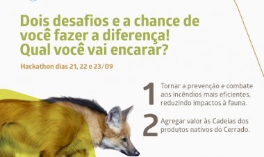Maratona de ideação procura soluções para proteger e desenvolver o Cerrado