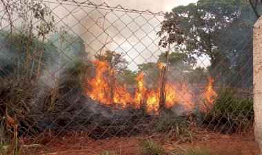 CRIME AMBIENTAL: Mais uma vez Mata do Açude foi vítima de incêndio
