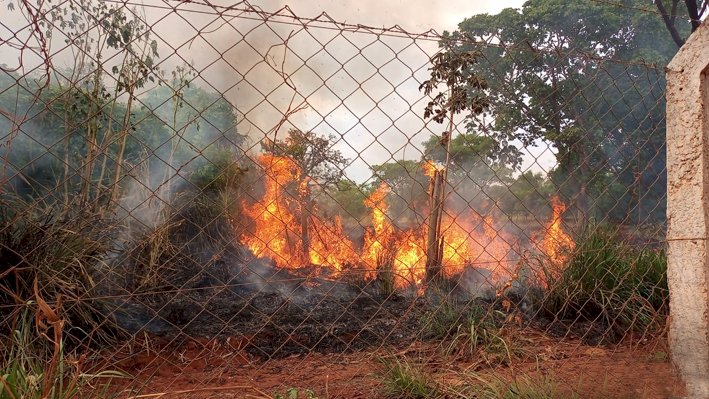 CRIME AMBIENTAL: Mais uma vez Mata do Açude foi vítima de incêndio