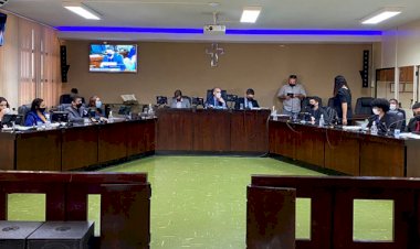 Jovens vereadores discutem e votam seus projetos