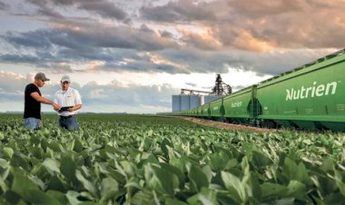 Agricultores de Jataí-GO irão conhecer em Dia de Campo soluções para a próxima safra