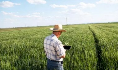 Produtor: Cadastro ambiental poderá ser regularizado pela internet