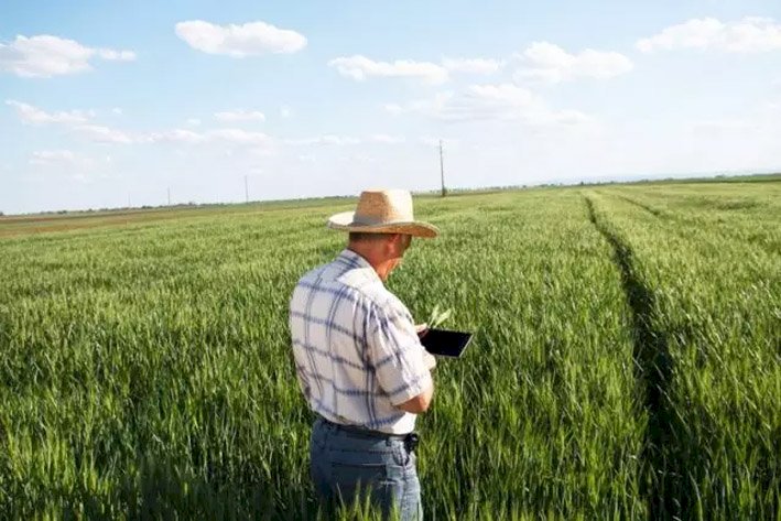 Produtor: Cadastro ambiental poderá ser regularizado pela internet