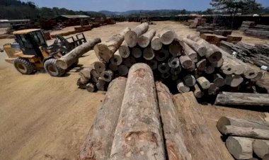 Ibama usou menos da metade do orçamento para fiscalização ambiental