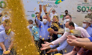 Caiado aposta em recordes na abertura da colheita de soja