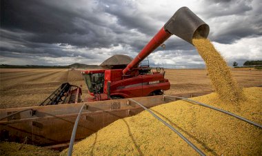 Valor Bruto da Produção Agropecuária de 2022 é estimado em R$ 1,2 trilhão
