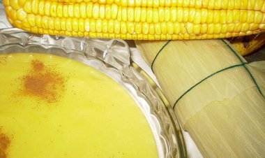 Vereadores pedem realização da Festa Estadual do Milho em Jataí