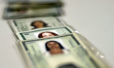 Nacional: Governo lança nova carteira de identidade com número único | Folha no Sudoeste