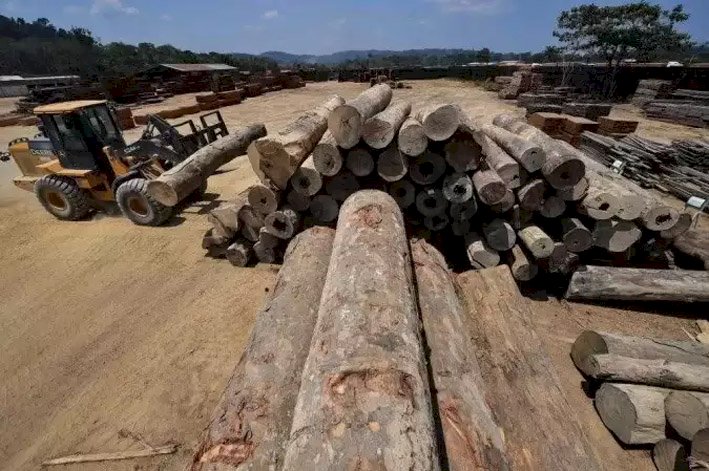 Ibama usou menos da metade do orçamento para fiscalização ambiental