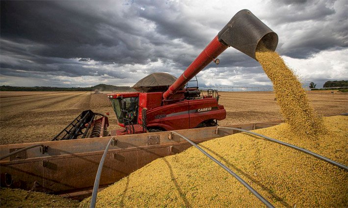 Valor Bruto da Produção Agropecuária de 2022 é estimado em R$ 1,2 trilhão