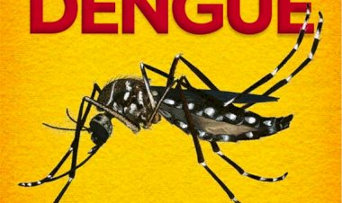XÔ MOSQUITO! INTENSIFICAÇÃO NO COMBATE AO AEDES AEGYPTI NESTA QUINTA-FEIRA SERÁ NOS BAIRROS HERMOSA, SANTA LÚCIA, IRACEMA.