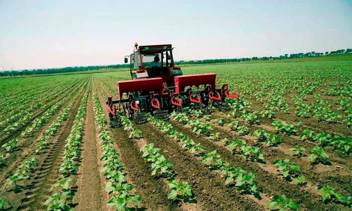 Produção agrícola brasileira cresce em ritmo bem maior que a média global