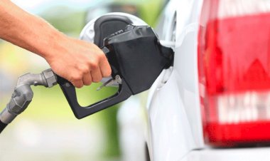 Sachsida garante combustíveis até dezembro deste ano