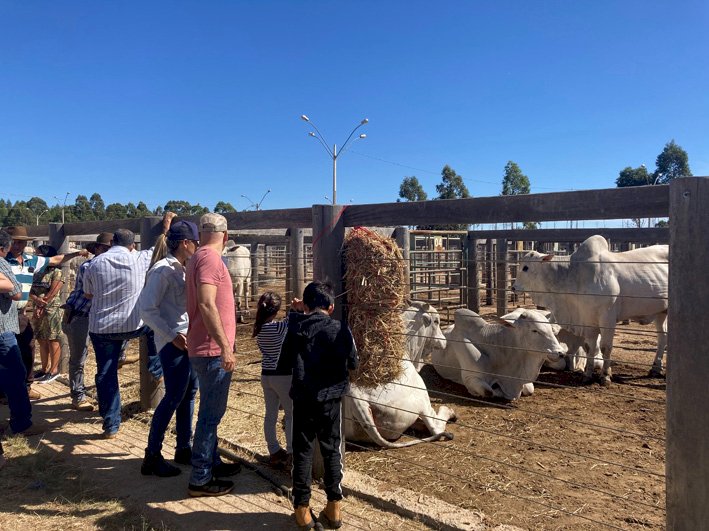 Emater e ABCZ realizam feira Pró-Genética em Sanclerlândia-GO