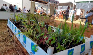 Emater participa do Orizona AgroShow 2022