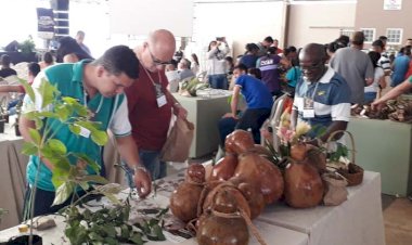 10ª edição da Festa da Semente é realizada em Mineiros