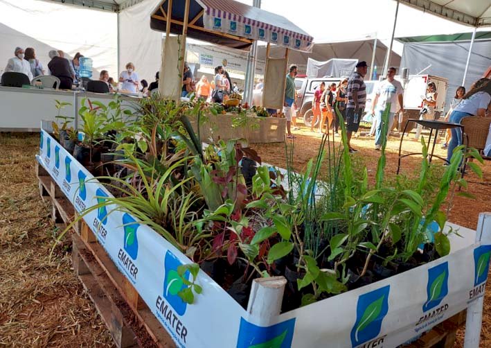 Emater participa do Orizona AgroShow 2022