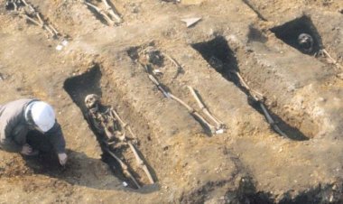 PESTE NEGRA: Como a epidemia de 700 anos atrás ainda afeta nossa saúde hoje em dia
