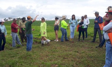 AGRICULTURA FAMILIAR: Realização do segundo dia de campo na UFJ