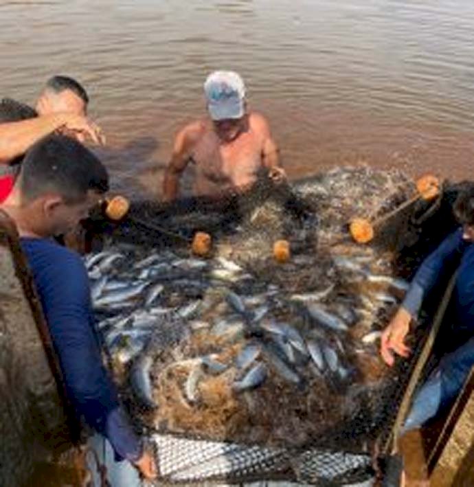 Pesca no Lago Bonsucesso está temporariamente suspensa para repovoamento de Peixes