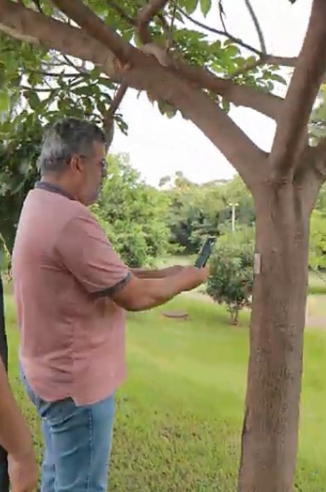 Prefeitura de Jataí e parceiros realizam Plaqueamento de Árvores no Parque Diacuí