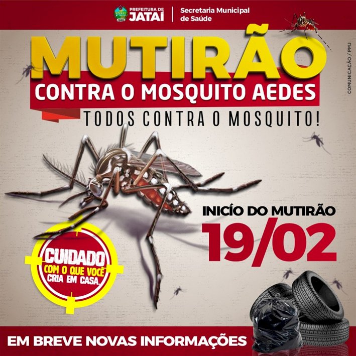 TODOS CONTRA O AEDES: Prefeitura realizará Mutirão de combate ao mosquito