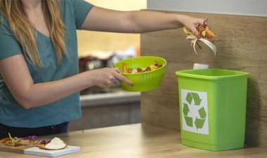 Como adotar práticas sustentáveis em casa: dicas para iniciantes