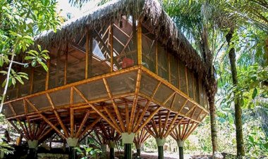 Bambu na Construção: O Retorno de um Material Sustentável e Resistente