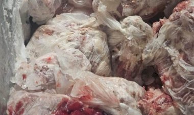 Agrodefesa interdita abatedouro clandestino de suínos em Aragoiânia