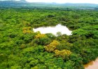 Documentário sobre reserva ecológica em Serranópolis estreia neste sábado (10)