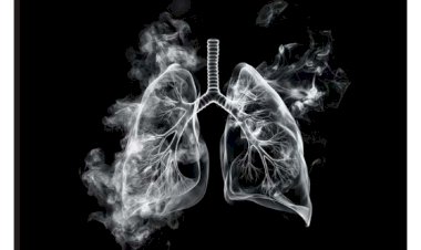 I Fórum sobre Tabagismo em Goiás alerta para os perigos dos Vapes