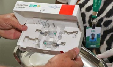 Goiás é pioneiro em ofertar de forma gratuita medicamento para dermatite atópica