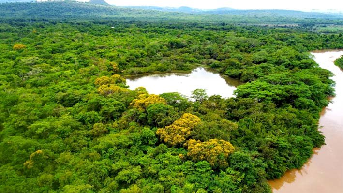 Documentário sobre reserva ecológica em Serranópolis estreia neste sábado (10)