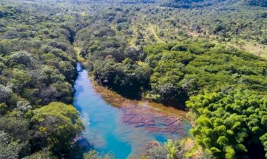 SEMANA DO MEIO AMBIENTE: Juntos pelo Araguaia: Semad assina termo de adesão com mais uma empresa
