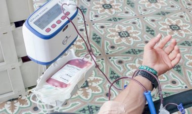 Período de inverno mobiliza Brasil para doação de sangue e reforça estoques em período crítico