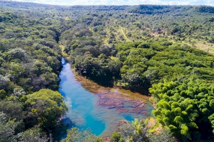 SEMANA DO MEIO AMBIENTE: Juntos pelo Araguaia: Semad assina termo de adesão com mais uma empresa