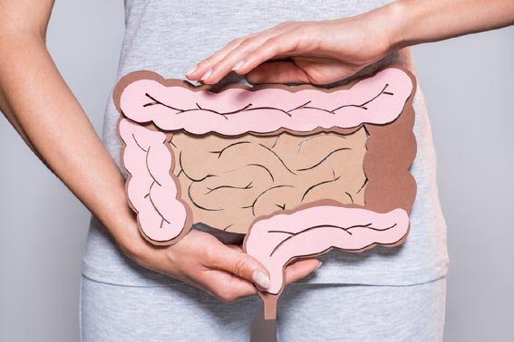 Como o intestino influencia o humor e a saúde mental