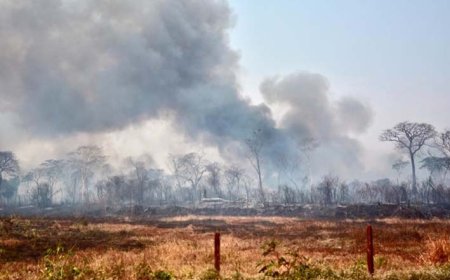 Queimadas em Goiás crescem 152% em apenas uma semana