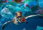 O Impacto da poluição plástica nos oceanos